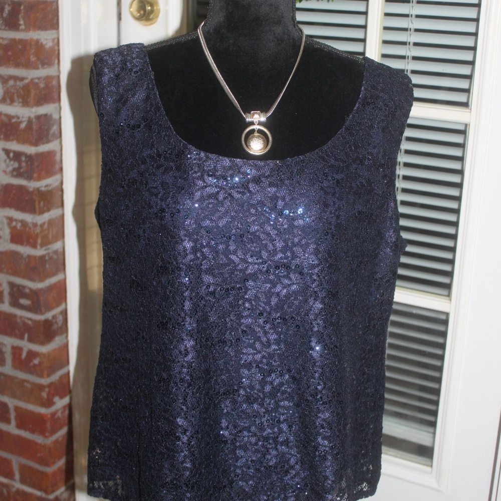 R&M Richards Holiday Navy Blue lace sequin top sleeveless fully lined sz 18 NEW…